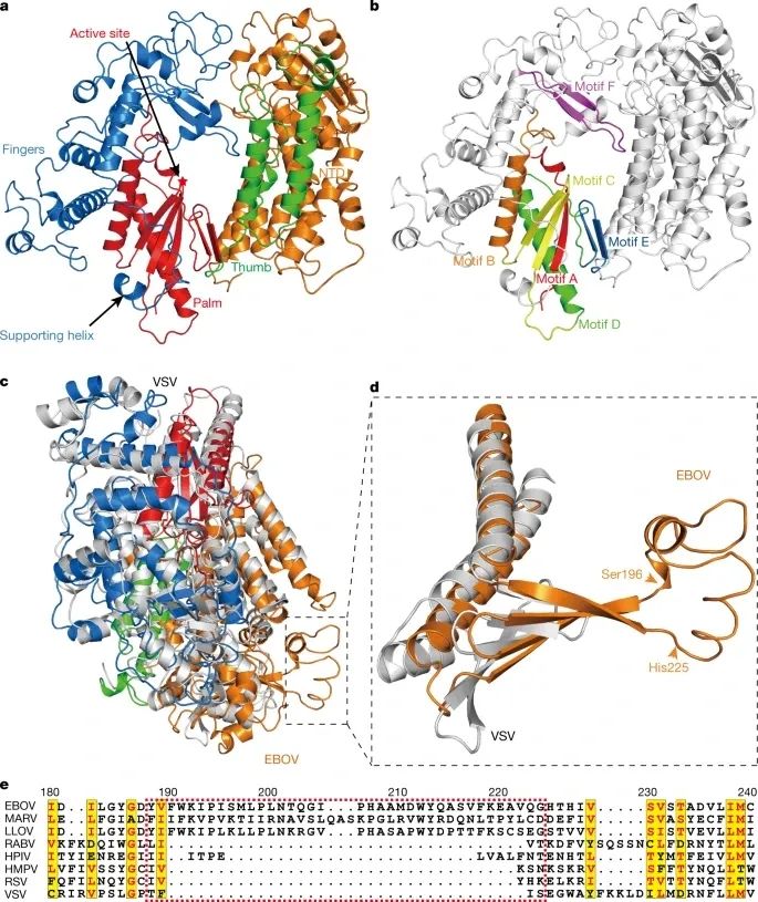 大爆發！國內學者一周7篇Nature！