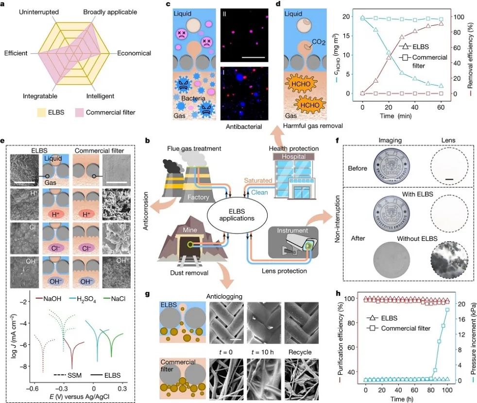 廈門大學，最新Nature！