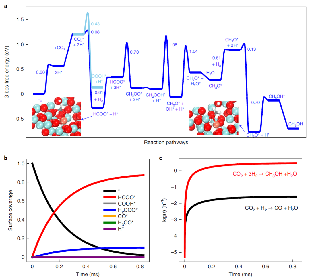 今日重磅！譚理&劉智攀Nature Catalysis：單原子催化！