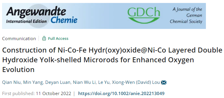 于樂/樓雄文最新Angew.：玩轉(zhuǎn)MOF，設(shè)計蛋黃-殼結(jié)構(gòu)OER電催化劑！