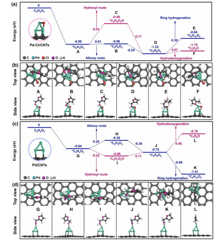 八篇催化頂刊集錦：JACS、Angew、EES、AM、ACS Catalysis等計算+實驗成果精選！