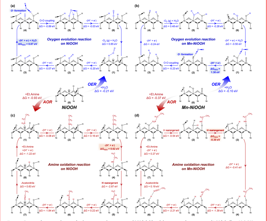 頂刊成果集錦：JACS、Angew.、Nature子刊、ACS Catalysis、ACS Nano等！
