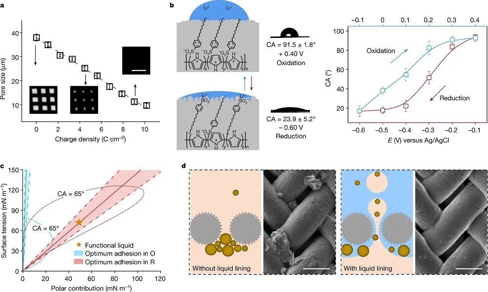 廈門大學，最新Nature！