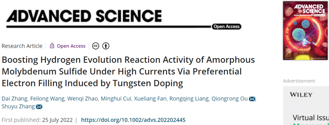 張樹宇&區(qū)瓊榮Adv. Sci.：大電流下，高性能HER催化劑！