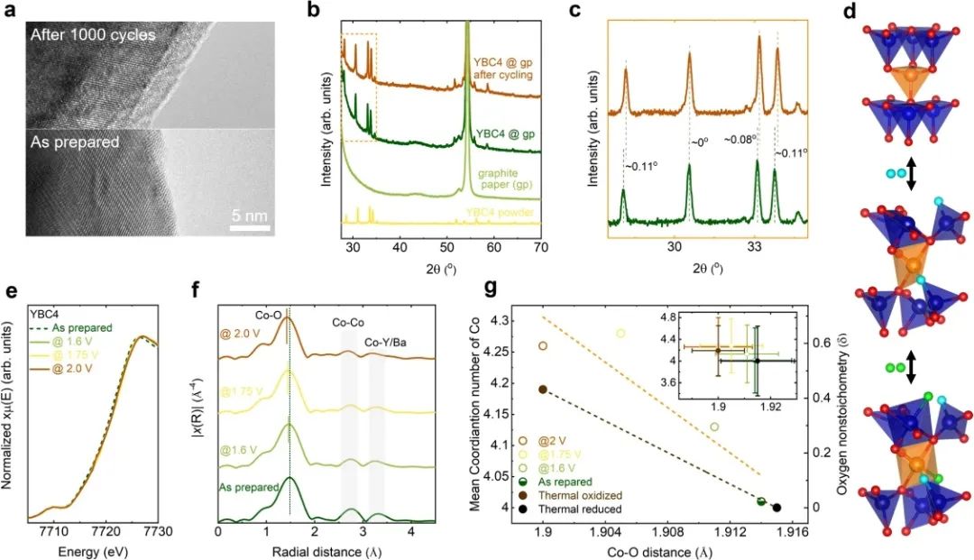 孟穎/徐梽川，最新Nature子刊！