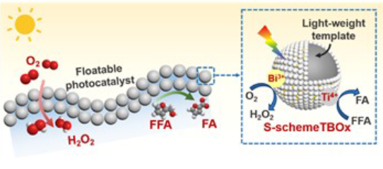 頂刊成果集錦：JACS、Angew.、Nature子刊、ACS Catalysis、ACS Nano等！