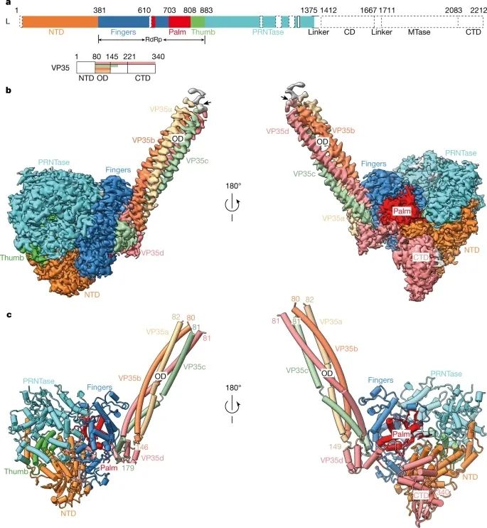 大爆發！國內學者一周7篇Nature！