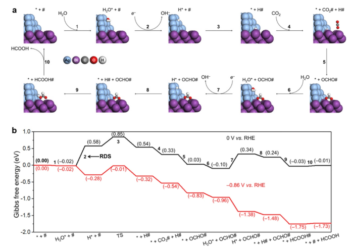八篇最新頂刊集錦：ACS Catalysis、EES、AM、Angew等成果！