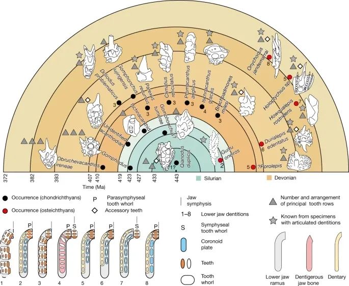 大爆發！國內學者一周7篇Nature！