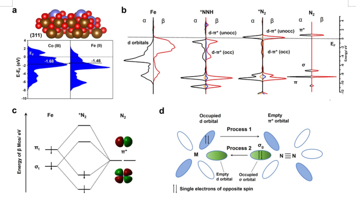 八篇最新頂刊集錦：ACS Catalysis、EES、AM、Angew等成果！