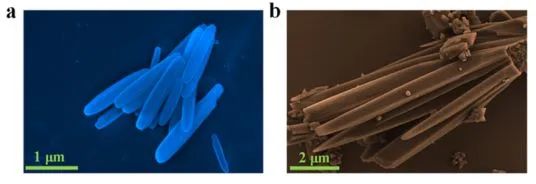 ?武大ACS Catal.: 將TEMPO集成到Zr-MOF中，協(xié)同光催化硫化物選擇性氧化