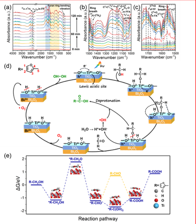 頂刊成果集錦：JACS、Angew.、Nature子刊、ACS Catalysis、ACS Nano等！