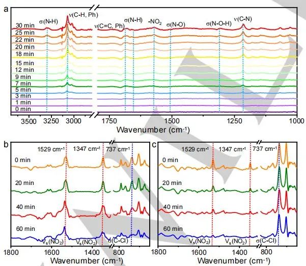 催化頂刊集錦：Angew.、JACS、AEM、ACS Catalysis、AFM、Carbon Energy等