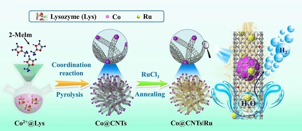?三單位聯合Nano-Micro Lett.：Co@CNTs?Ru在全pH高效催化析氫