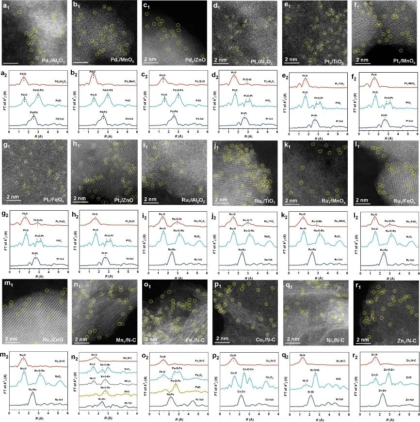 紀紅兵/馬丁，最新Nature子刊！
