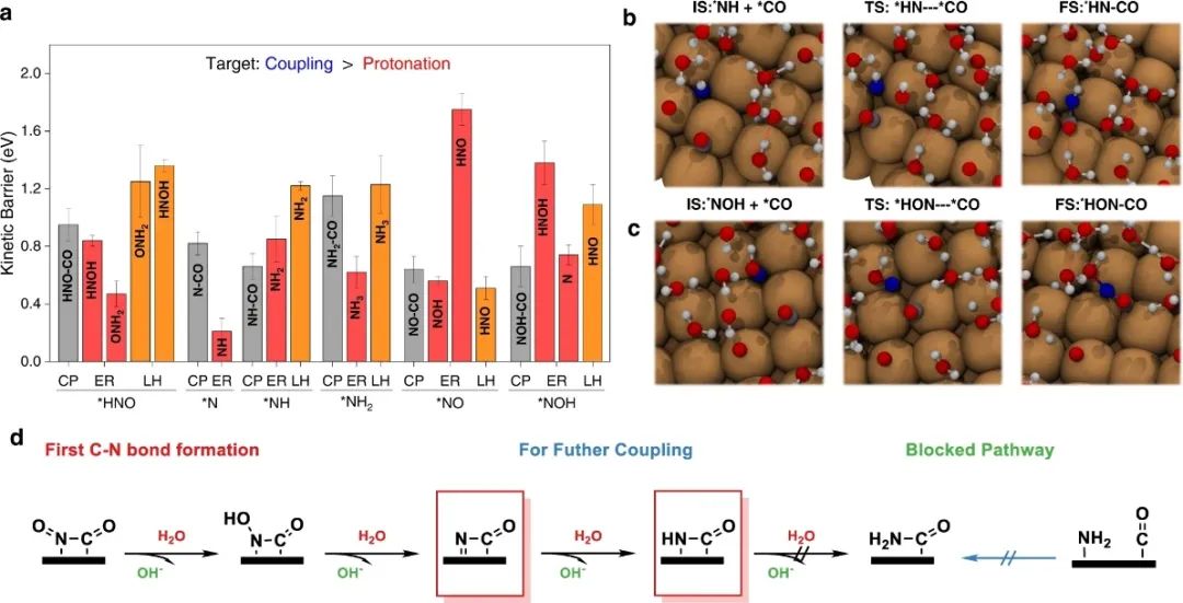 喬世璋/焦研，最新Nature子刊！
