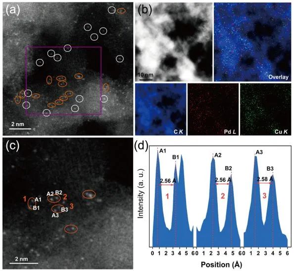 馬丁&劉洪陽，最新JACS！