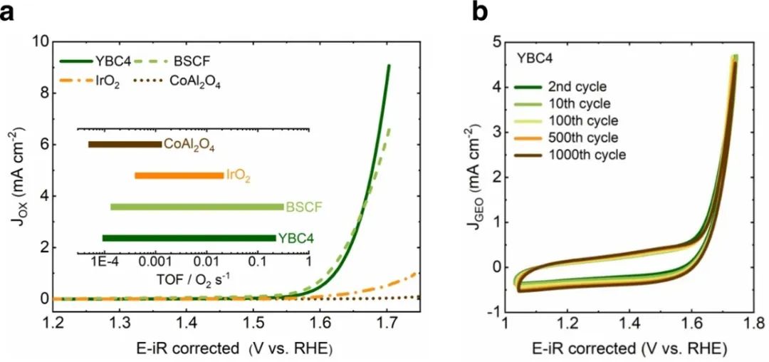 孟穎/徐梽川，最新Nature子刊！