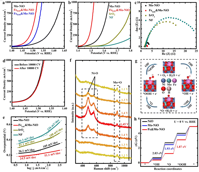 八篇最新頂刊集錦：ACS Catalysis、EES、AM、Angew等成果！