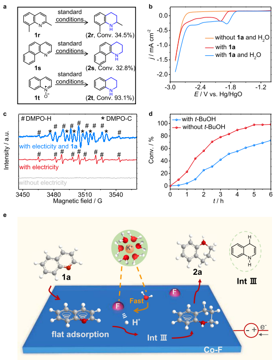 天大張兵/劉翠波團隊，最新Nature子刊！