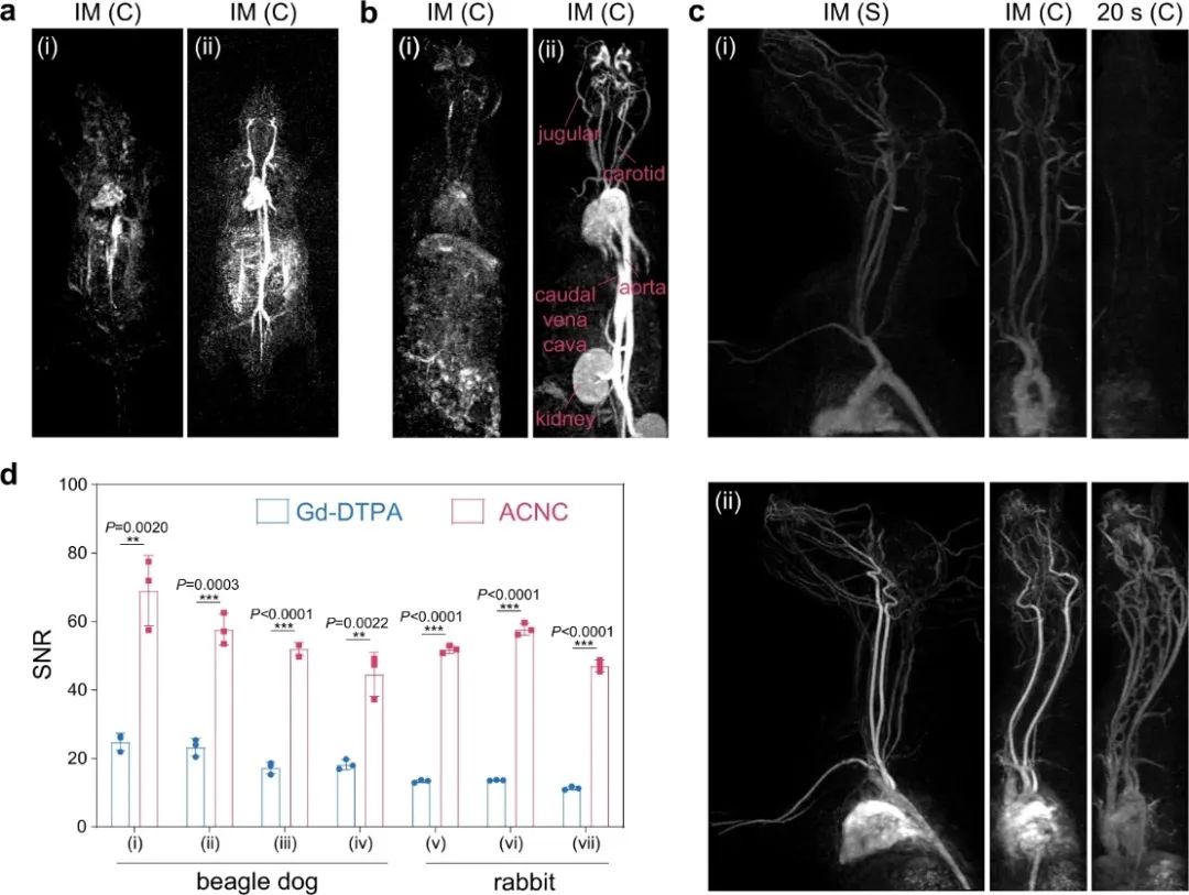院士團隊兩天三篇頂刊：連發AM、Angew.和Nature子刊！