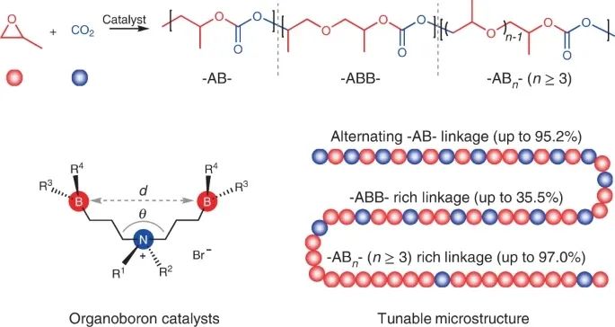 浙大伍廣朋團隊Nature Synthesis：CO2和環氧丙烷精準共聚！
