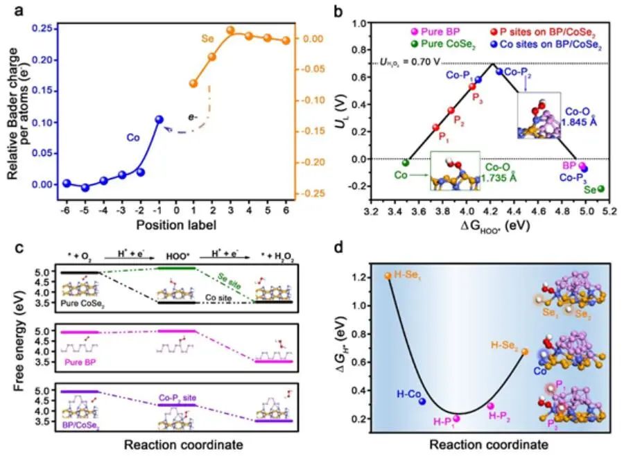 院士團隊兩天三篇頂刊：連發AM、Angew.和Nature子刊！