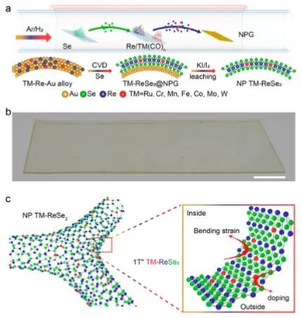 最新催化頂刊：JACS、EES、AM、AFM、ACS Catalysis、Nano Letters、NML等成果集錦！