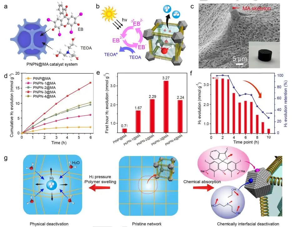 院士團隊兩天三篇頂刊：連發AM、Angew.和Nature子刊！