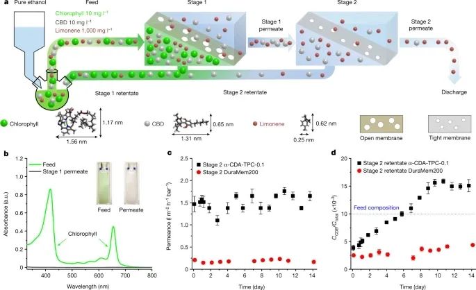 ?分子篩，再登Nature！