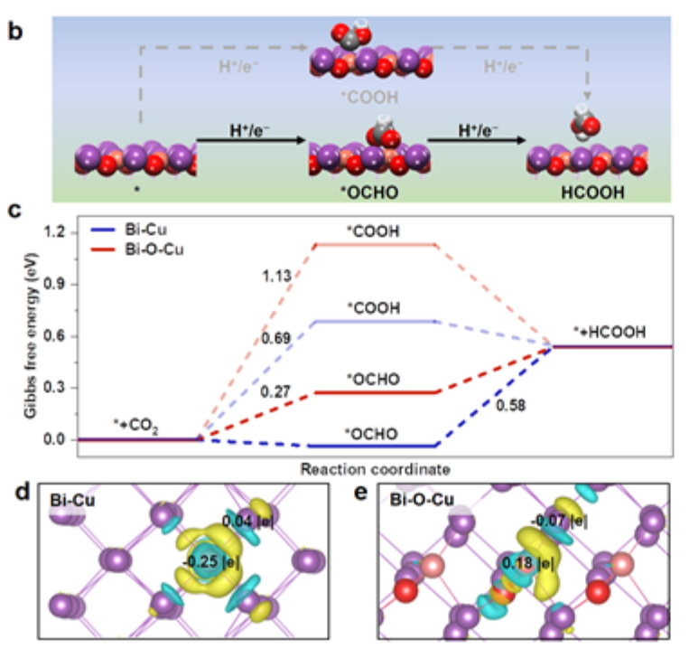 計算+實驗頂刊集錦：Angew、Nature 子刊、Adv. Sci.、Nano Energy、AM等