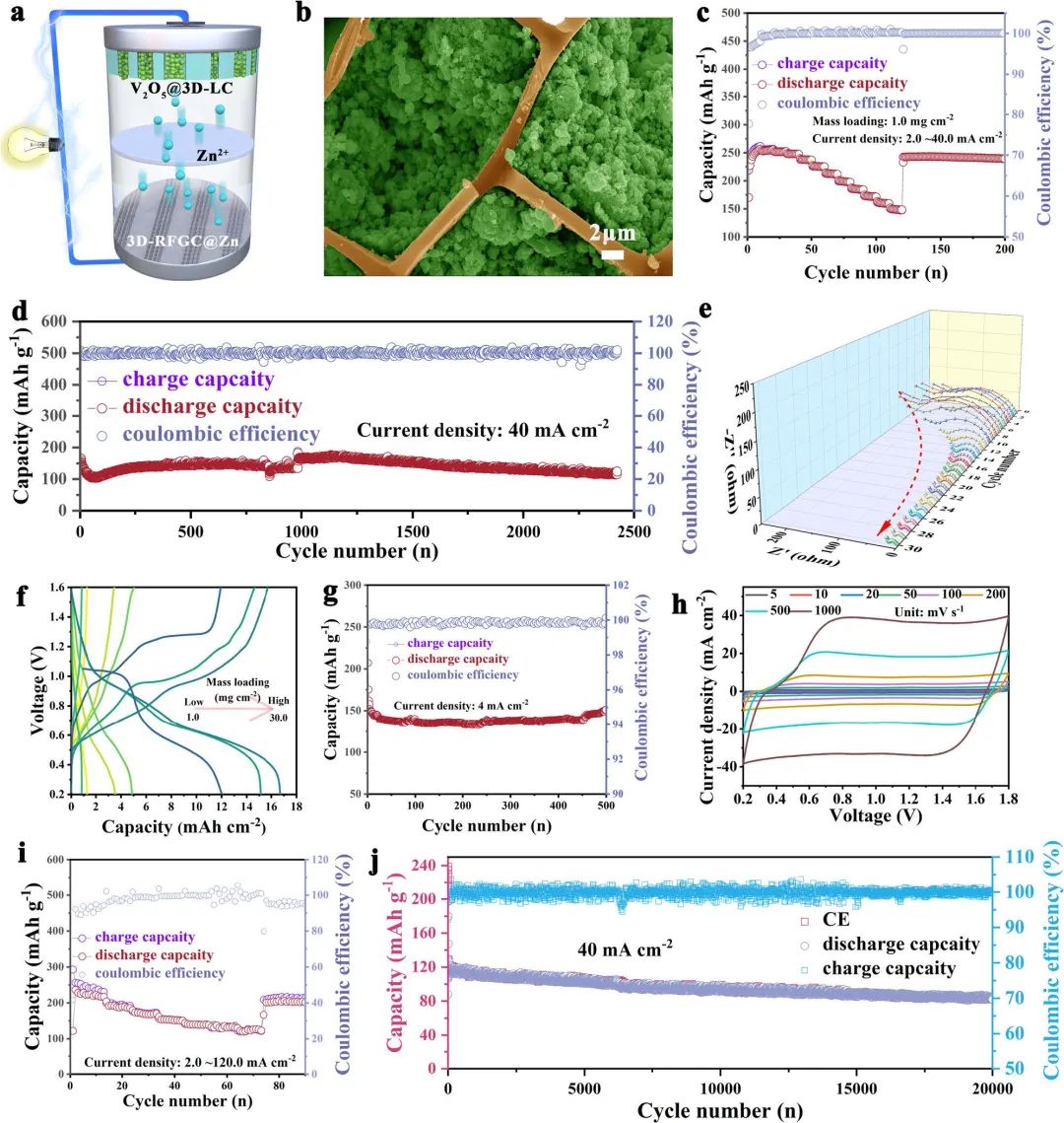趙天壽/曾林Nature子刊：三維分層石墨烯基質助力穩定的鋅負極