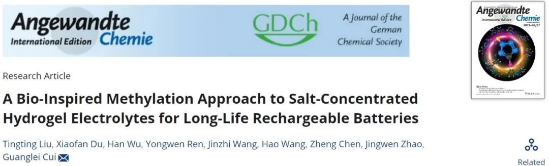 ?崔光磊Angew：生物啟發(fā)的高鹽水凝膠用于長壽命可充鈉電池
