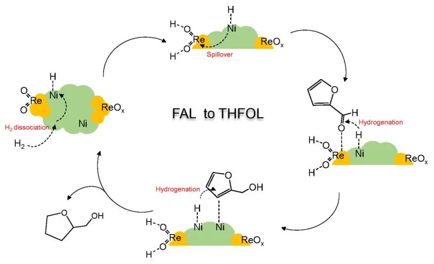 聶仁峰/張躍興ACS Catalysis：Ni-ReOx表面協同促進糠醛溫和加氫制四氫糠醇