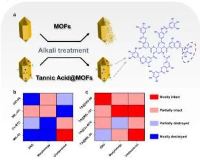 揚州大學龐歡Angew.：單寧酸增強納米MOFs的活性位點和穩定性