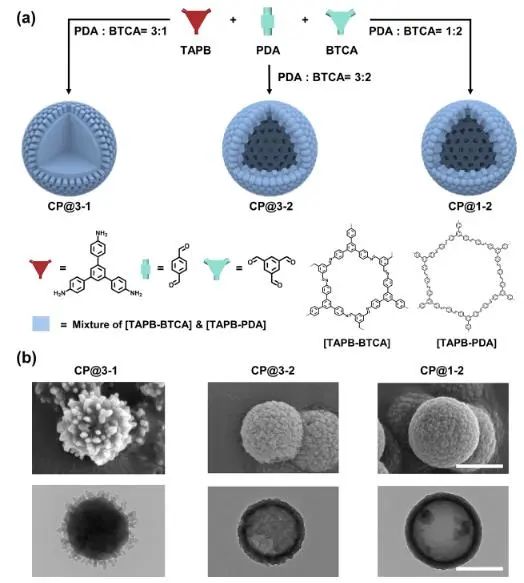 ?浙大JACS：通過動態(tài)組合精確調(diào)控COF中多級孔結(jié)構(gòu)，探究其催化應(yīng)用