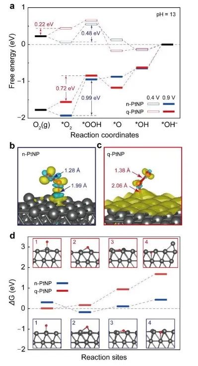 催化頂刊合集：Nature子刊、EES、AM、CEJ、ACB、ACS Catalysis等成果！