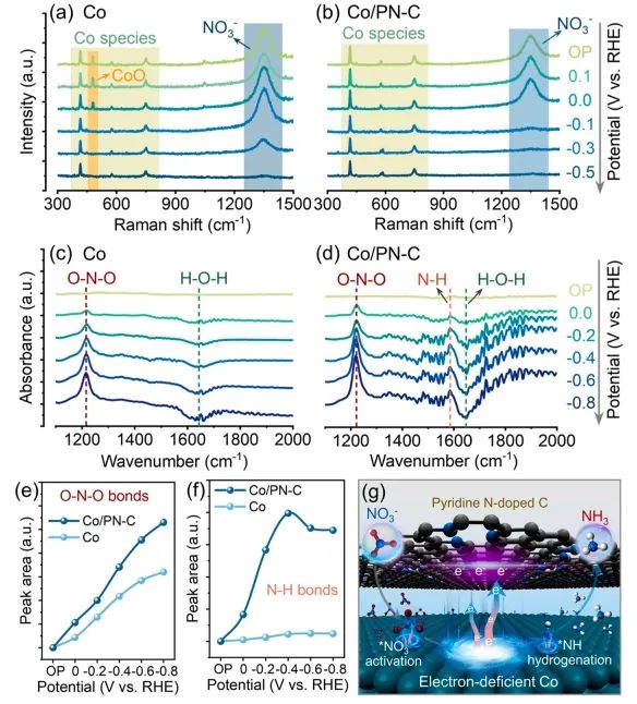 中南Nano Energy：缺電子Co納米晶立大功，有效促進NO3?電還原為NH3
