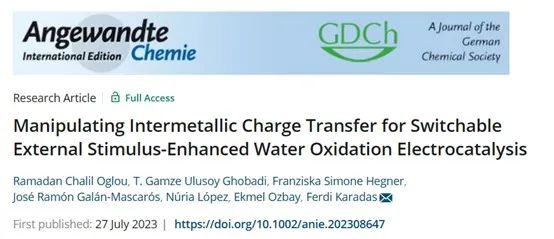 催化頂刊合集：AM、JACS、Angew.、ACS Energy Letters、ACS Catalysis、CEJ等成果！