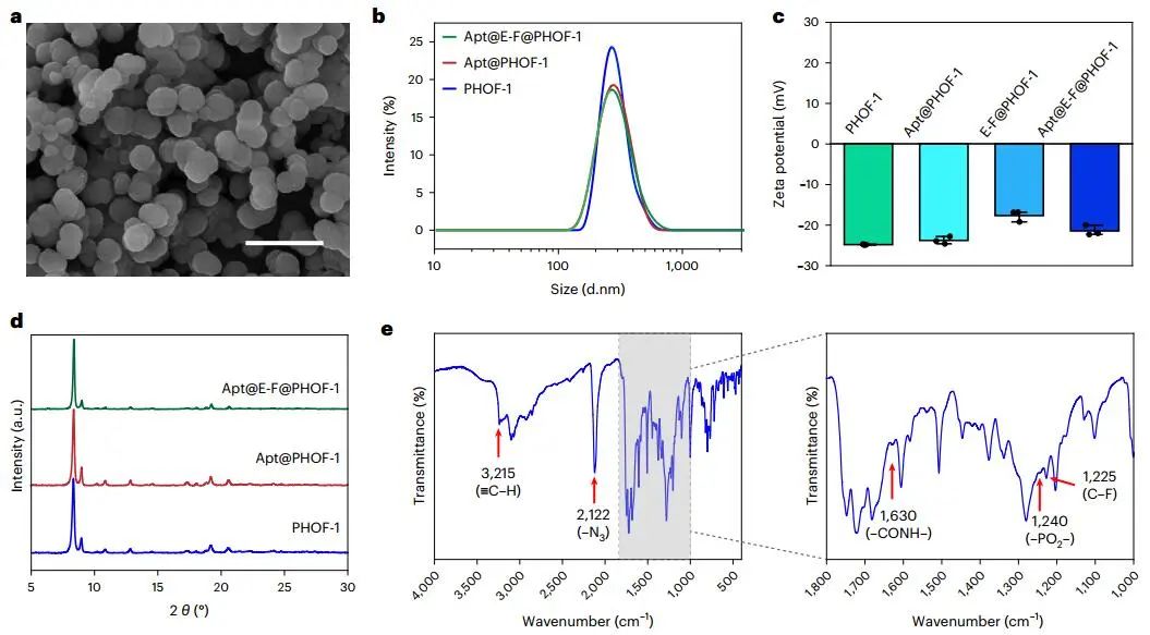 曲曉剛研究員，最新Nature Catalysis！