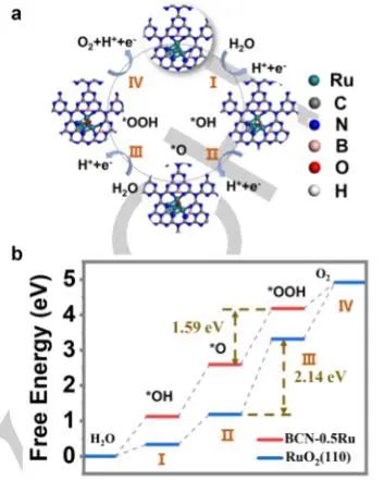 李輝/徐少軼Angew.：BCN負載低含量Ru團簇，實現高效穩定催化酸性OER