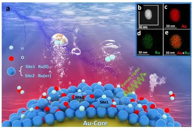 【計算+實驗】頂刊速遞：4篇Angew.?、Chem、JACS、Nature子刊、ACS Catalysis等各一篇！