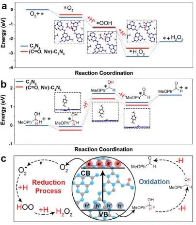 八篇頂刊速遞：Nature子刊、Angew.、JACS、AM、AFM、ACS Catalysis等！