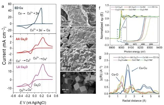 八篇頂刊速遞：Nature子刊、Angew.、JACS、AM、AFM、ACS Catalysis等！