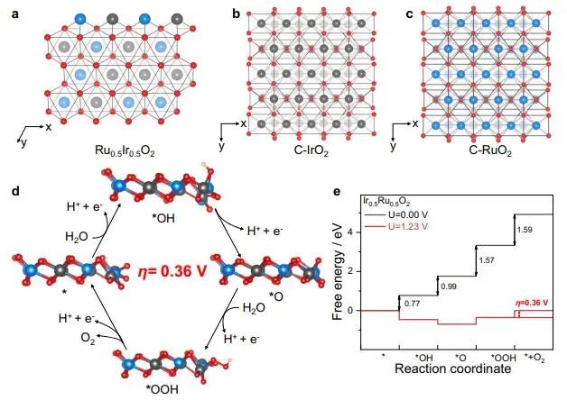 催化頂刊集錦：Nature子刊、Angew.、EES、AFM、ACS Nano等成果
