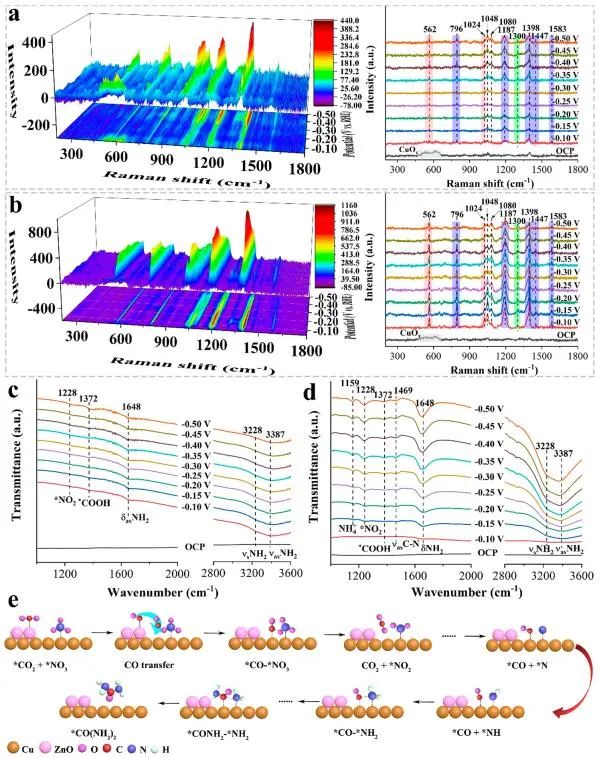 催化頂刊集錦：JACS、Nature子刊、Angew.、AFM、Adv. Sci.、ACS Catal.等成果