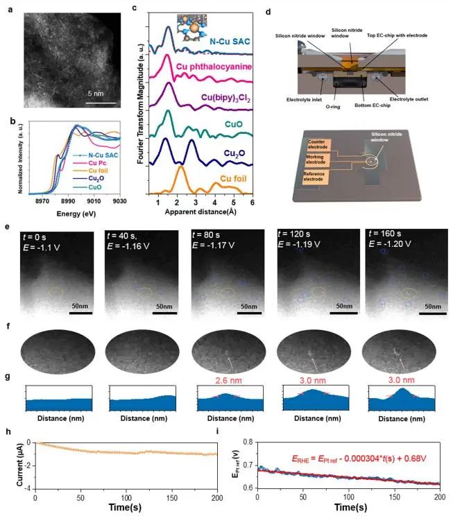 八篇頂刊速遞：Nature子刊、Angew.、JACS、AM、AFM、ACS Catalysis等！
