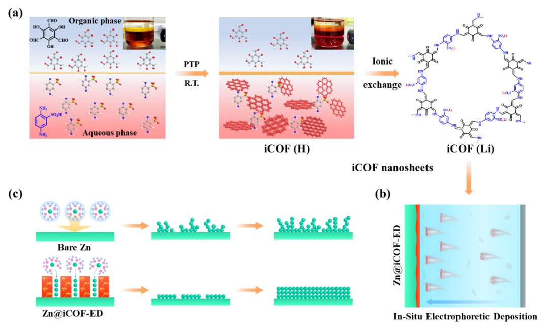 天津科技大學(xué)Nano Energy：原位電泳沉積構(gòu)建去溶劑化iCOF人工SEI層穩(wěn)定鋅金屬陽(yáng)極