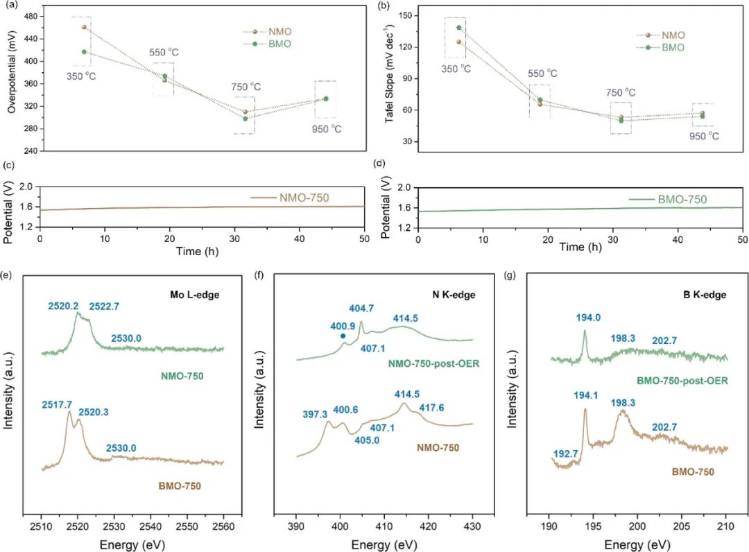 催化頂刊合集：Nature子刊、EES、AM、CEJ、ACB、ACS Catalysis等成果！