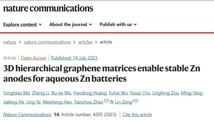 趙天壽院士團隊最新Nature子刊！鋅離子電池-鋅陽極-三維分層結(jié)構(gòu)